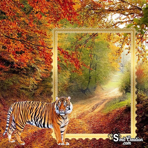 Nature Tiger Photo Frame