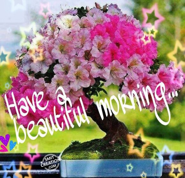 Have A Beautiful Morning