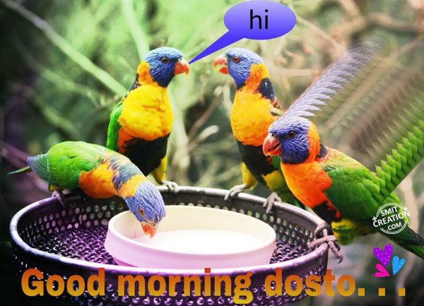 Good morning Dosto…