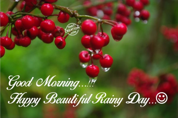 Good Morning…Happy Beaautiful Rainy Day - SmitCreation.com