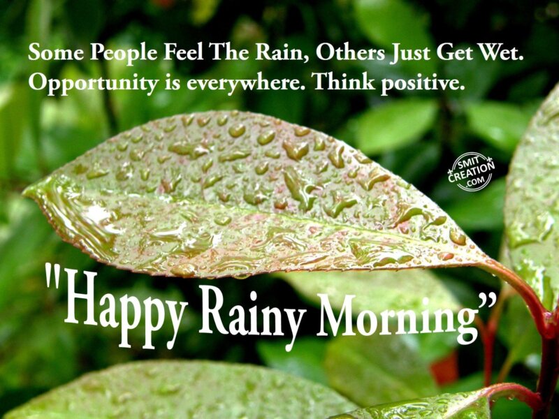 Happy Rainy Morning.