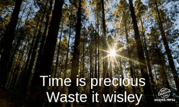 Time is precious Waste it wisely.