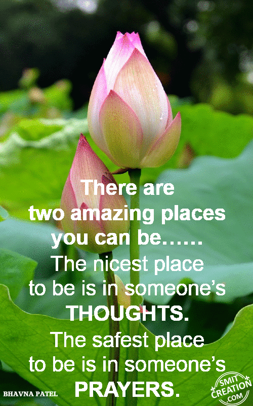 There are  two amazing places  you can be……The nicest place  to be is in someone’s  THOUGHTS.  The safest place  to be is in someone’s  PRAYERS.