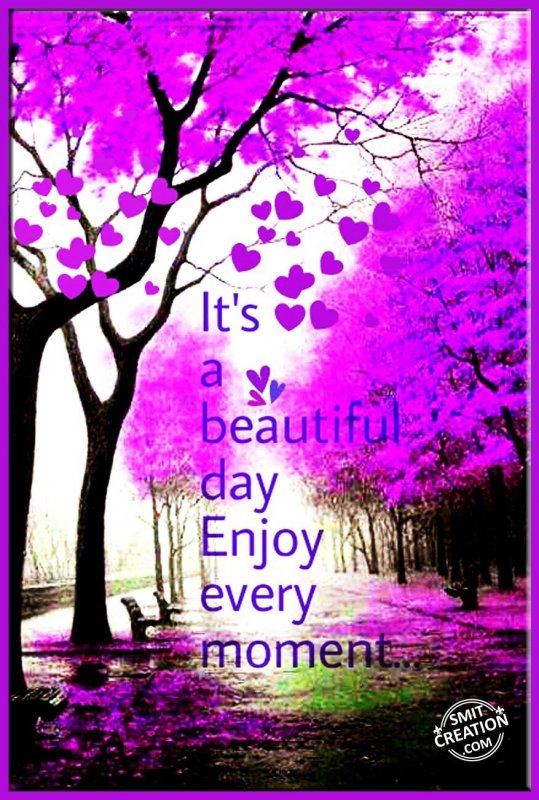 It’s abeautiful day.. Enjoy every moment