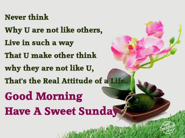 Good Morning Have A Sweet Sunday