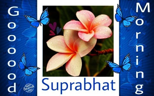 Good Morning – Suprabhat