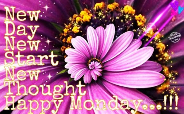 NEW DAY NEW START NEW THOUGHT – HAPPY MONDAY…!!!