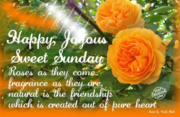 Happy Joyous Sweet Sunday