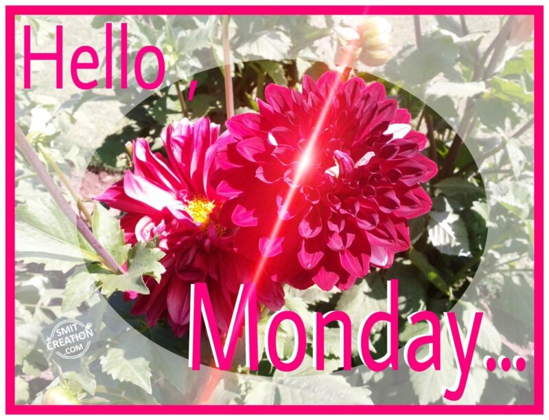 Hello, MONDAY - SmitCreation.com