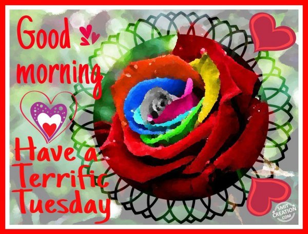 Good Morning – Have A Teriific Tuesday