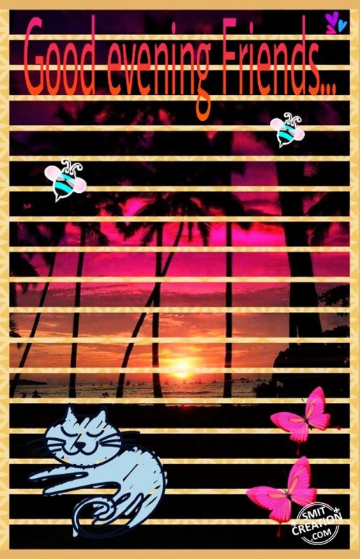 Good Evening Friends…