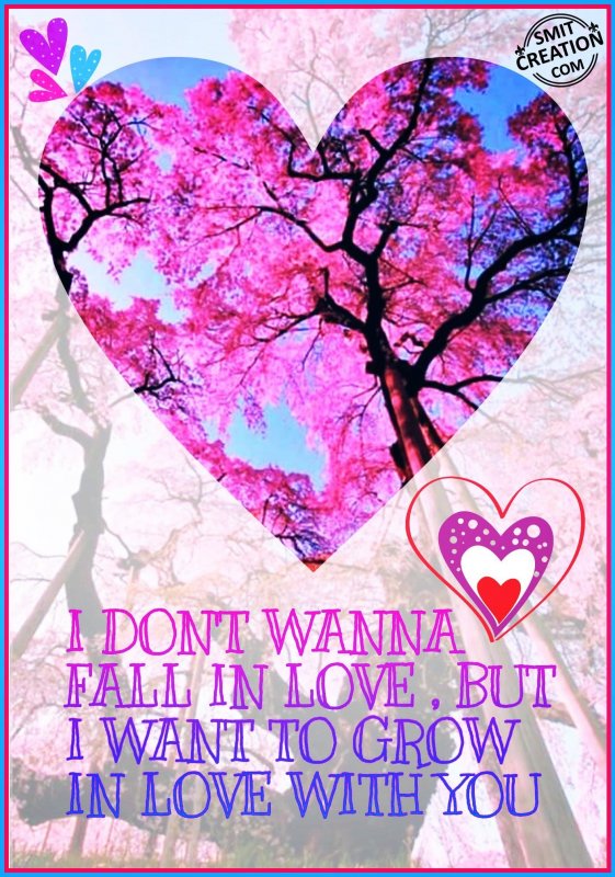 I DONT WANNA FALL IN LOVE. BUT I WANT TO GROW IN LOVE.
