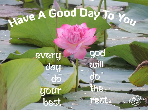 Have A Good Day To You