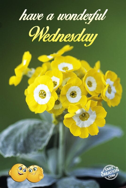 40+ WednesdayPictures and Graphics for different festivals - Page 2