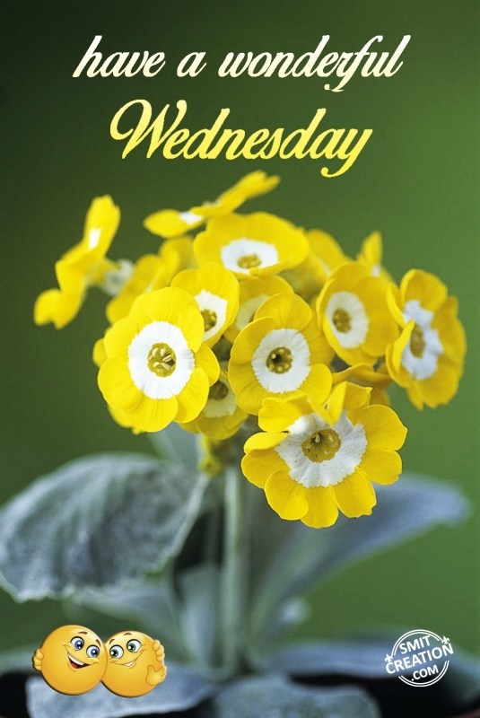 have a wonderful Wednesday