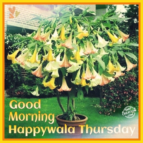 Good Morning – Happywala Thursday