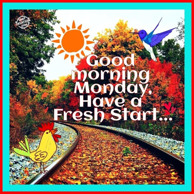 Good Morning Monday – Have A Fresh Start… - SmitCreation.com