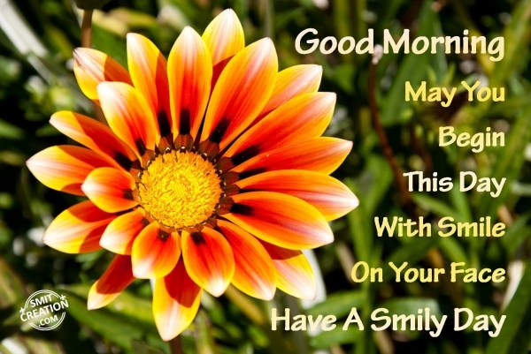 Good Morning – Have A Smily Day