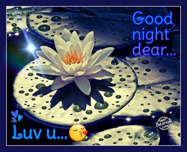 Good Night Dear