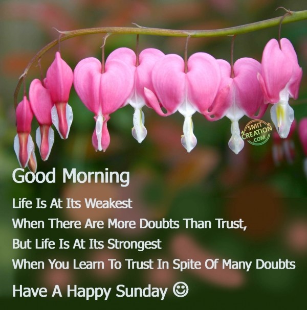GOOD MORNING – HAVE A HAPPY SUNDAY