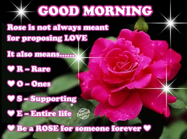 Good Morning Wishes Rose