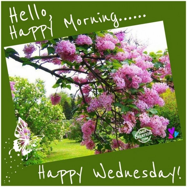 Hello,  Happy Morning…. Happy Wednesday!