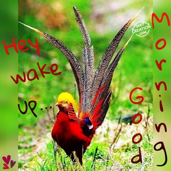 Hey Wake Up… Good Morning