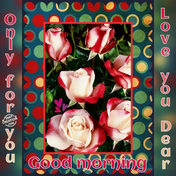 Good Morning Wishes Rose