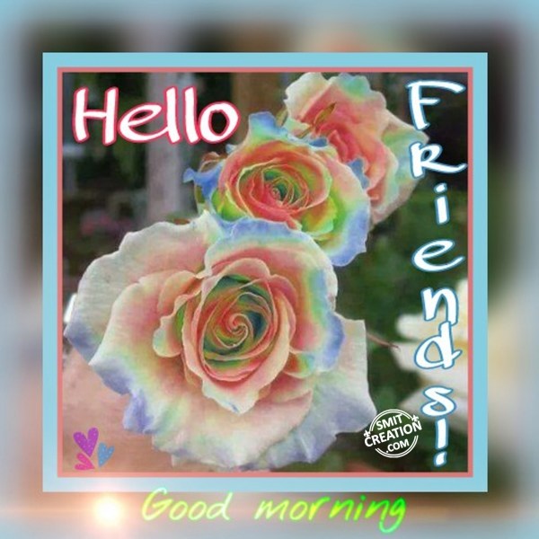 Hello Friends Good Morning