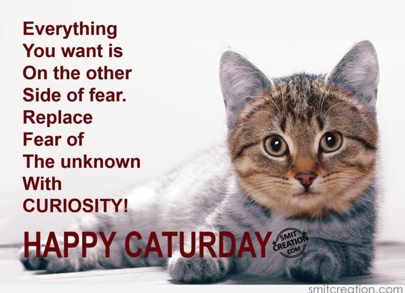 HAPPY CATURDAY - SmitCreation.com