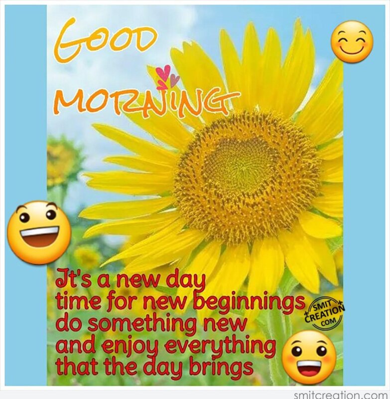 Good Morning Everyday Is A New Day Quotes And Messages Images ...