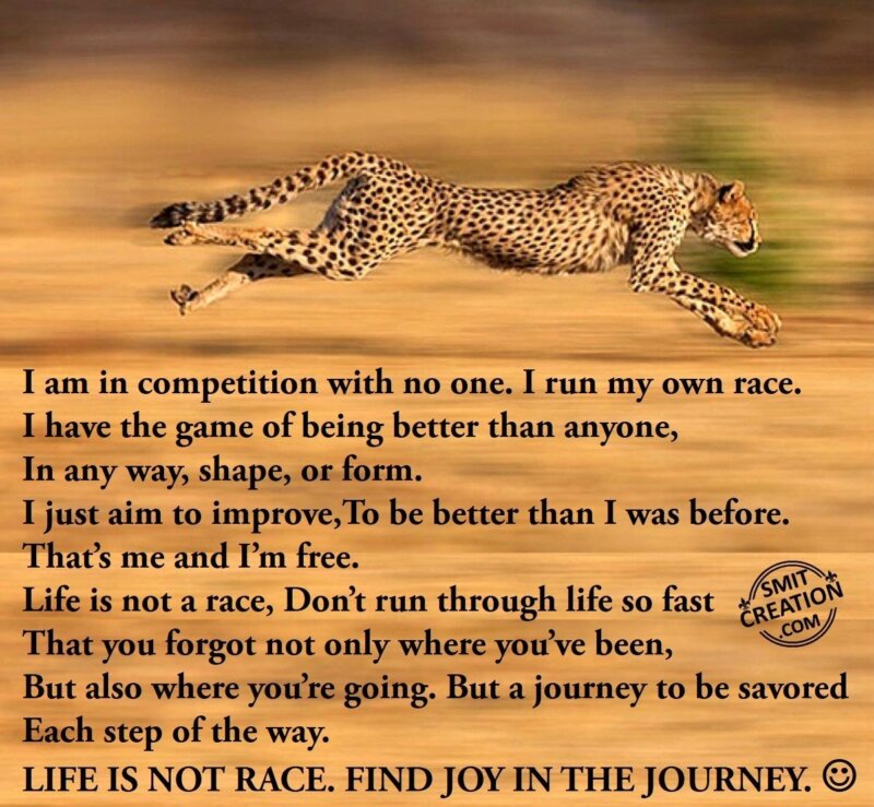 LIFE IS NOT RACE. FIND JOY IN THE JOURNEY. - SmitCreation.com