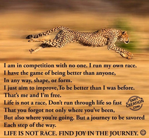 LIFE IS NOT RACE. FIND JOY IN THE JOURNEY.