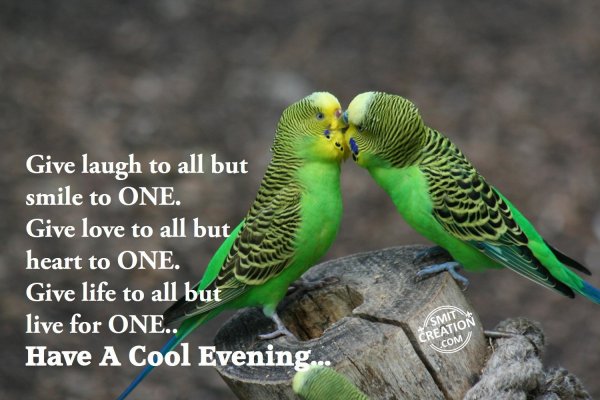 Have A Cool Evening