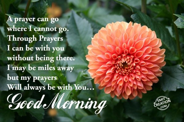 Good Morning Flowers Images With Messages