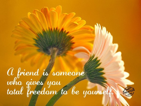 A Friend is someone who gives you total freedom to be yourself ...