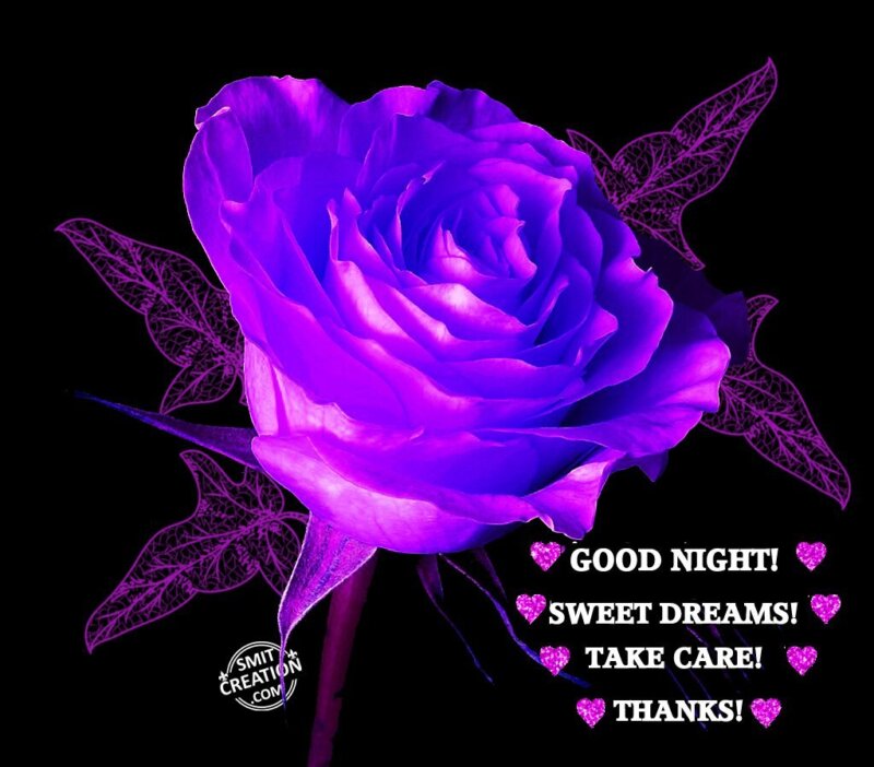 GOOD NIGHT! SWEET DREAMS! TAKE CARE! THANKS! - SmitCreation.com