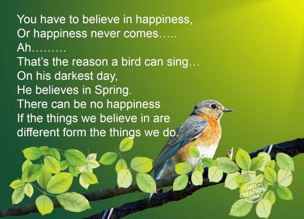 Believe in Happiness