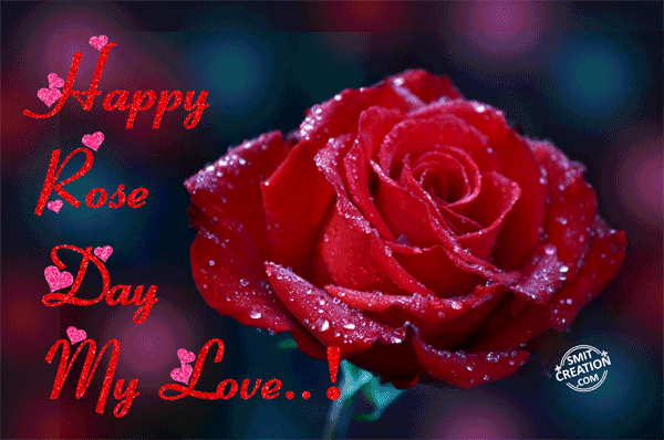 Happy Rose Day MY Love..!