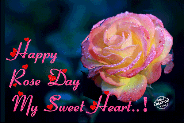 Happy Rose Day MY Sweet Heart..!