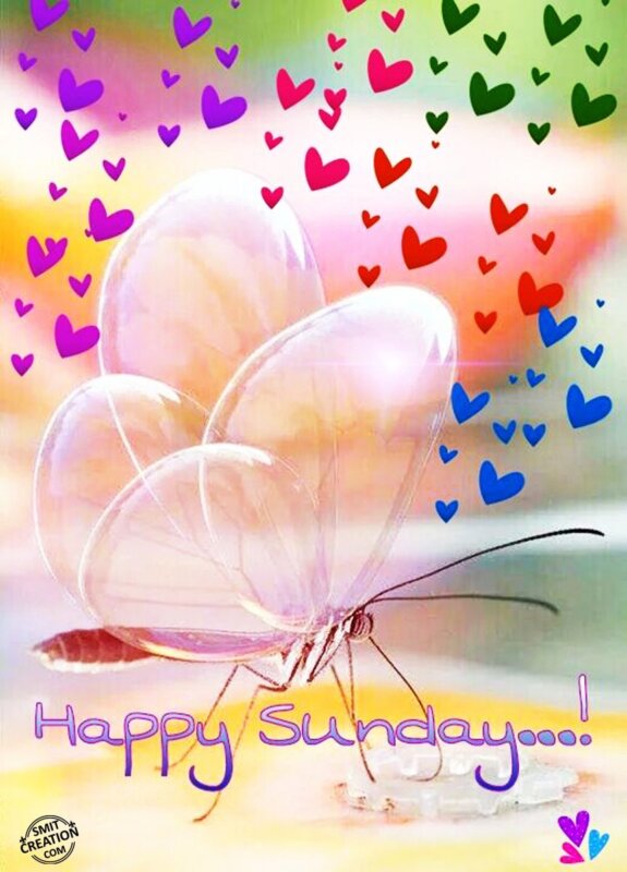 Happy Sunday…! - SmitCreation.com