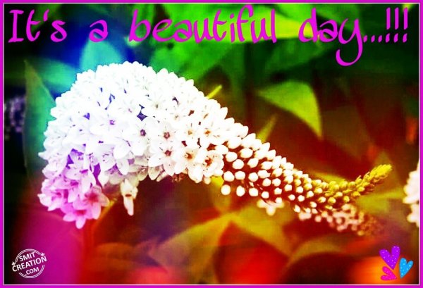 Its A Beautiful Day…!!!