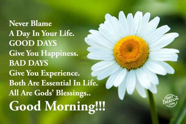 Good Morning – God Gave Us The Gift Of Life - SmitCreation.com