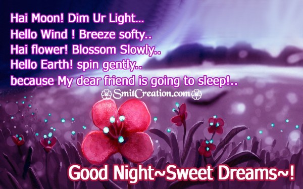 Good Night~Sweet Dreams~!