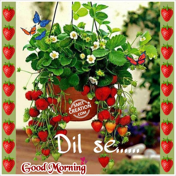 Dil Se… Good Morning