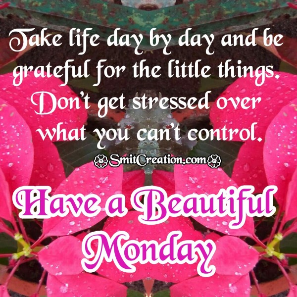 Have a Beautiful Monday