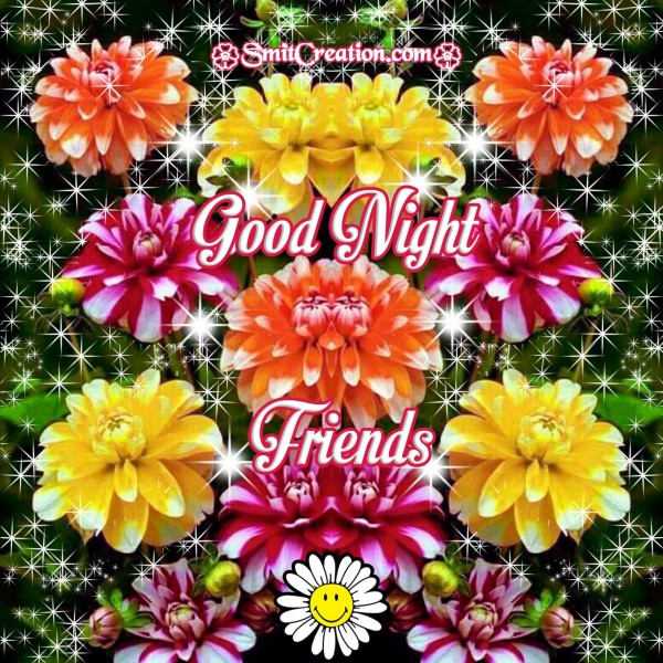 Good Night Friends