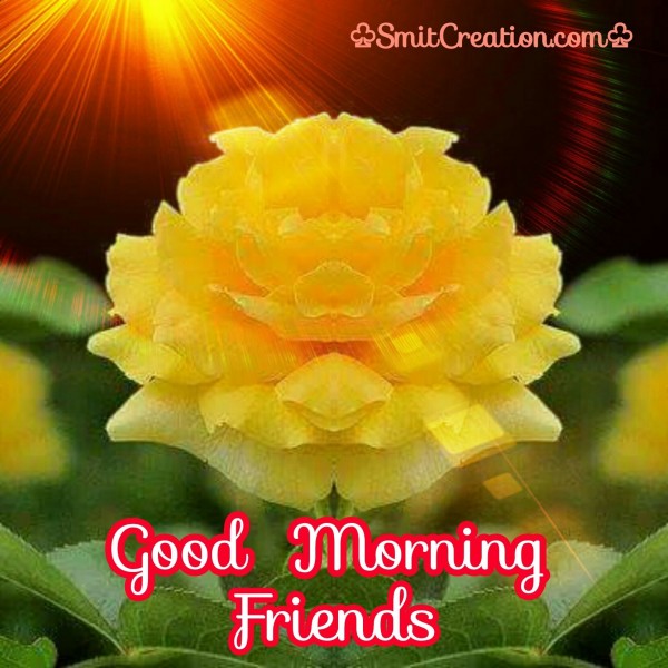 Good Morning Friends