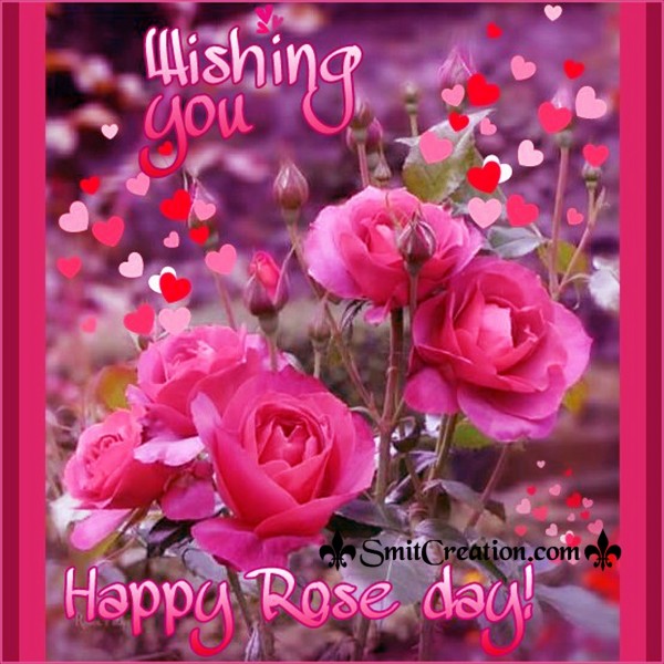 Wishing You Happy Rose Day