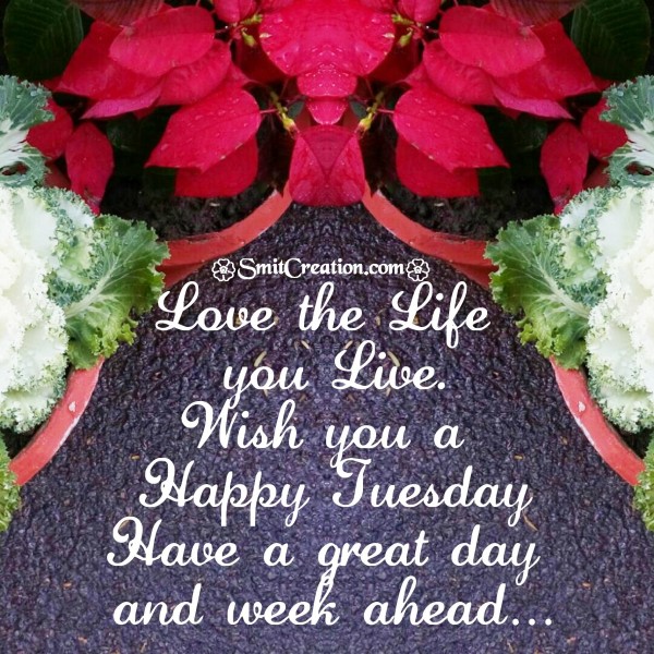 Wish you a Happy Tuesday